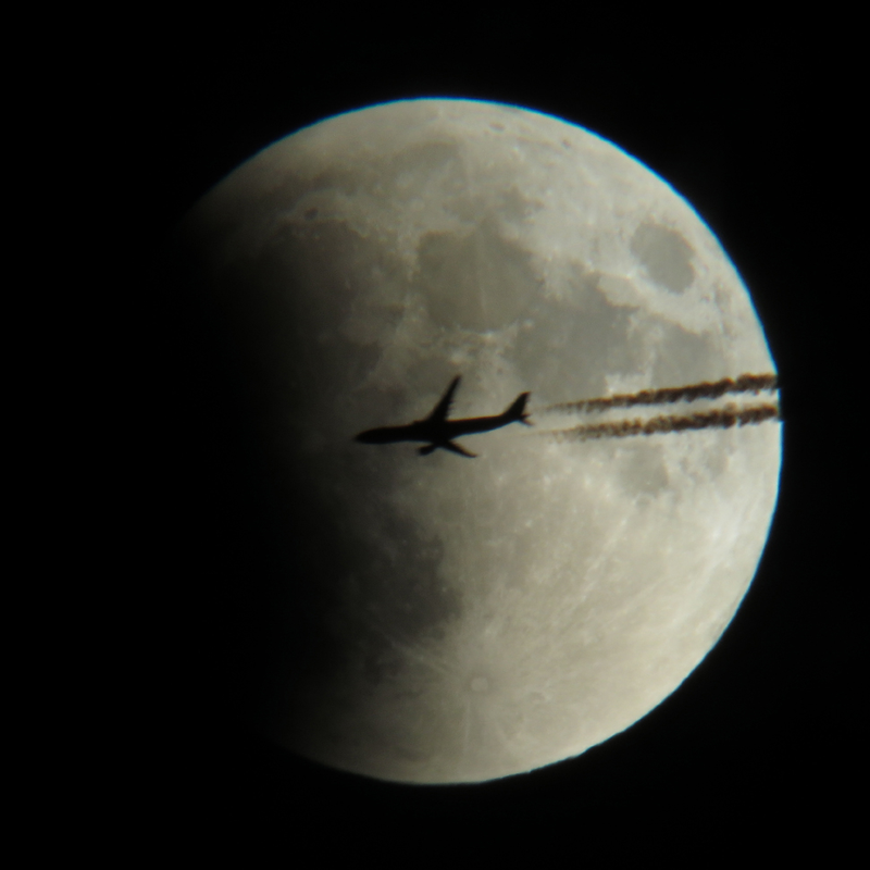 Illustration for article titled 34 Amazing Photos Of The Super Blood Moon